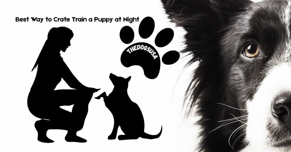 Best Way to Crate Train a Puppy at Night