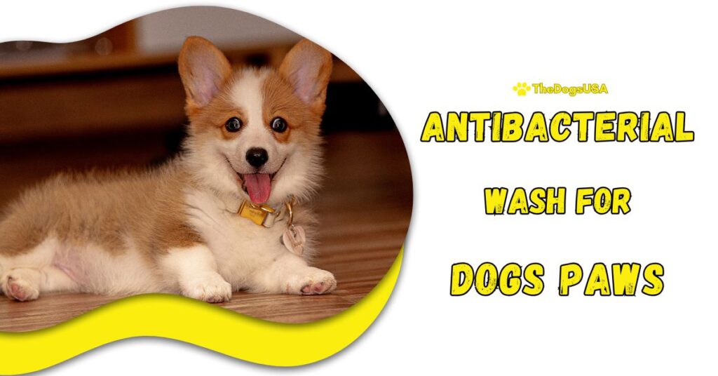 Antibacterial Wash for Dogs Paws