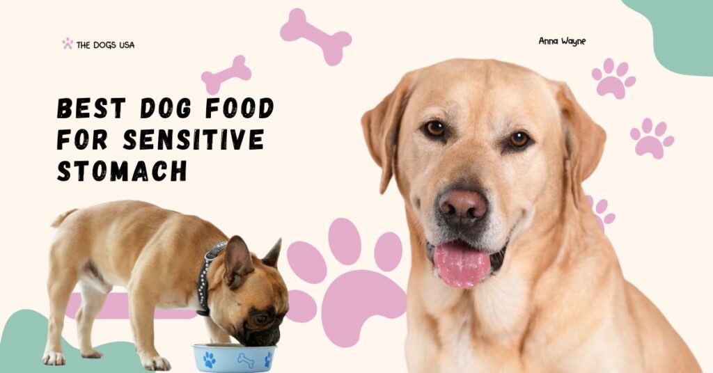 Best Dog Food for Sensitive Stomach