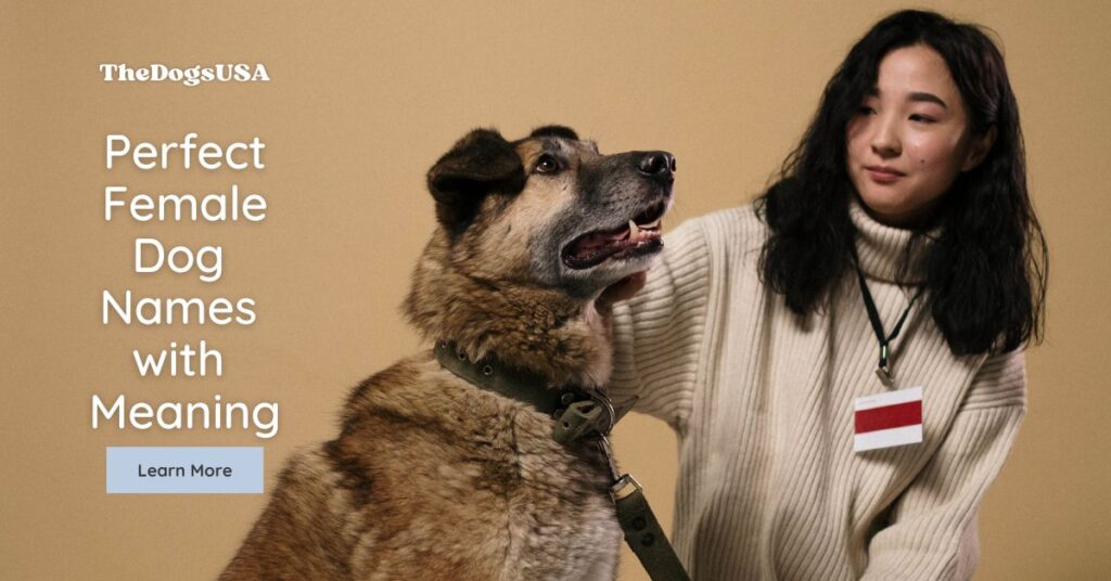 Perfect Female Dog Names with Meaning