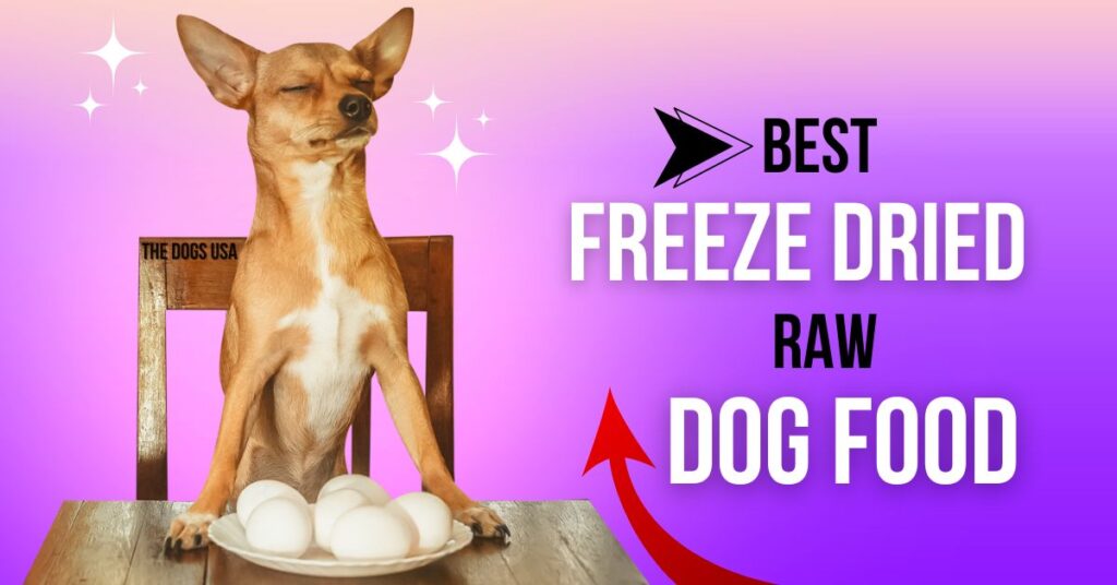 medium-sized dog breeds that don’t shed