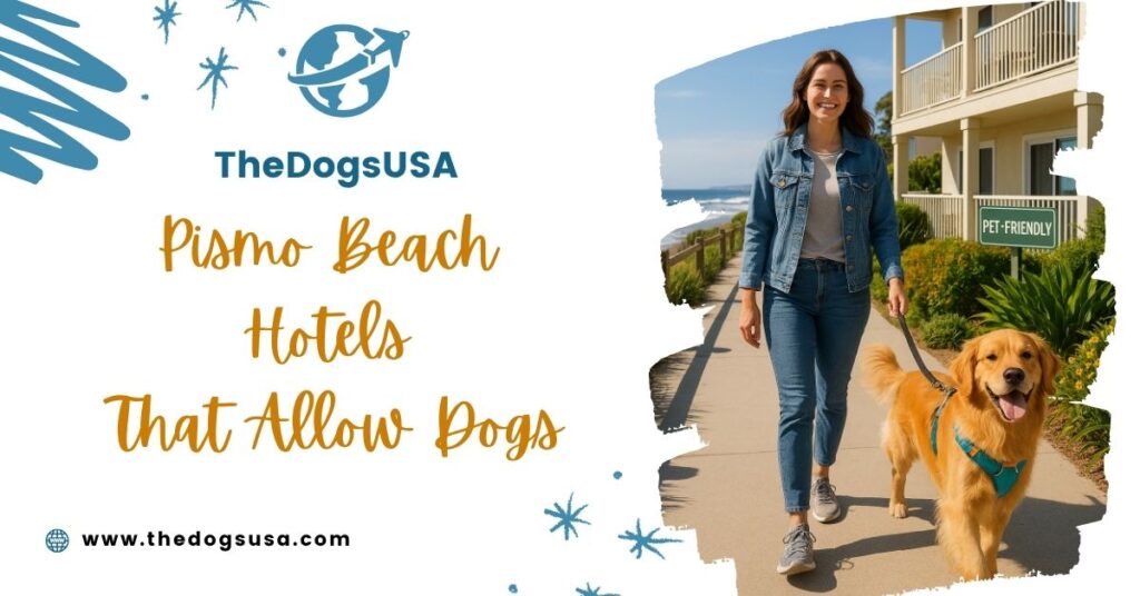 Pismo Beach Hotels That Allow Dogs