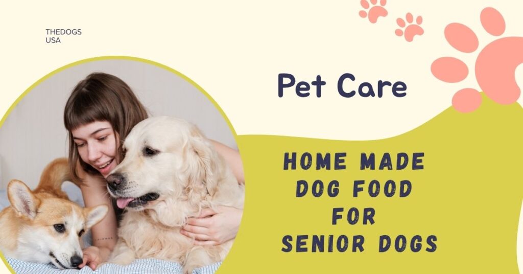 Homemade Dog Food for Senior Dogs