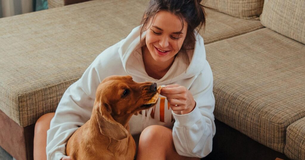 Benefits of Grain Free Dog Food