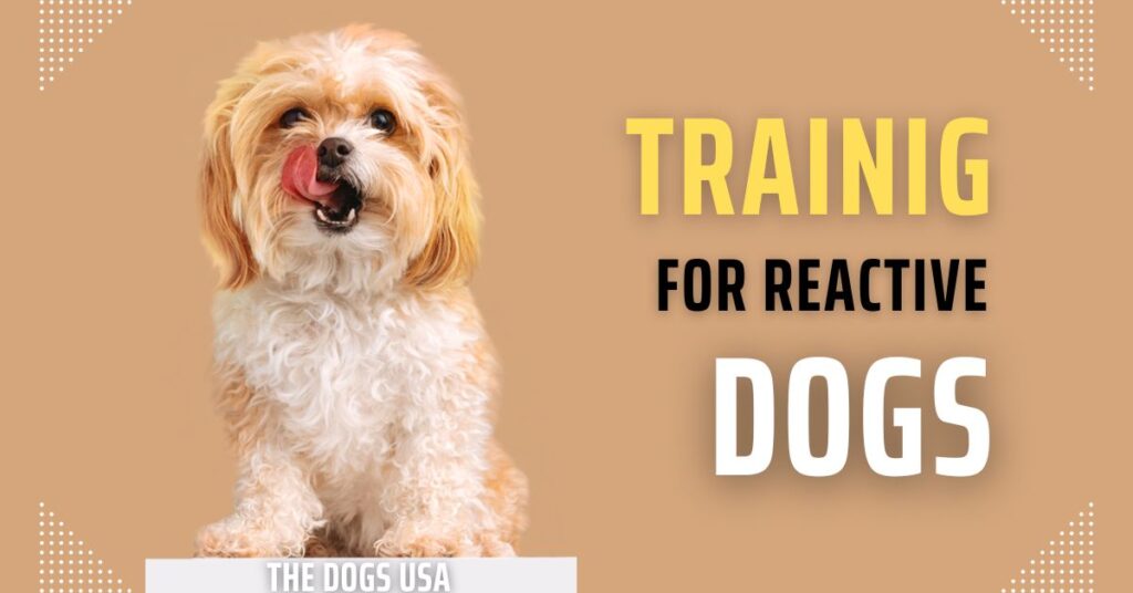 dog training for reactive dogs