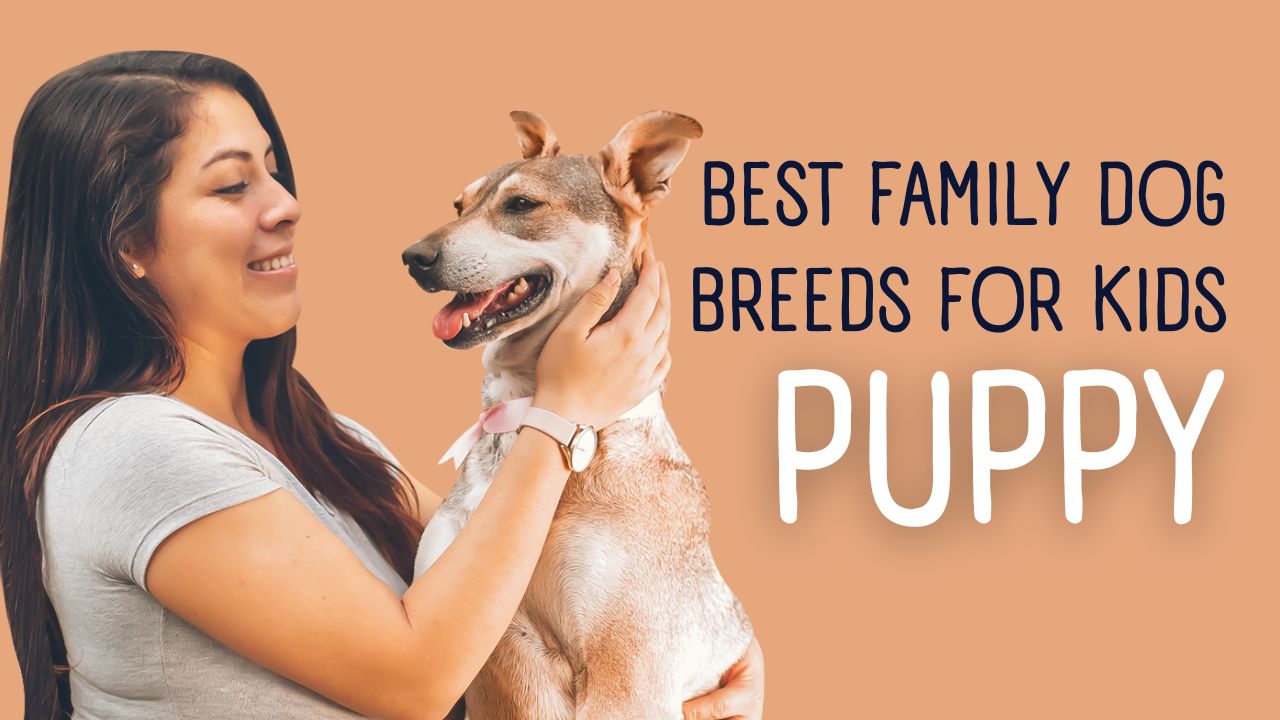 Best Family Dog Breeds for Kids