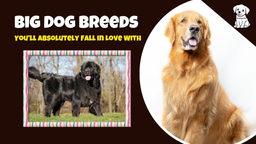 Top 10 Best Big Dog Breeds for Families