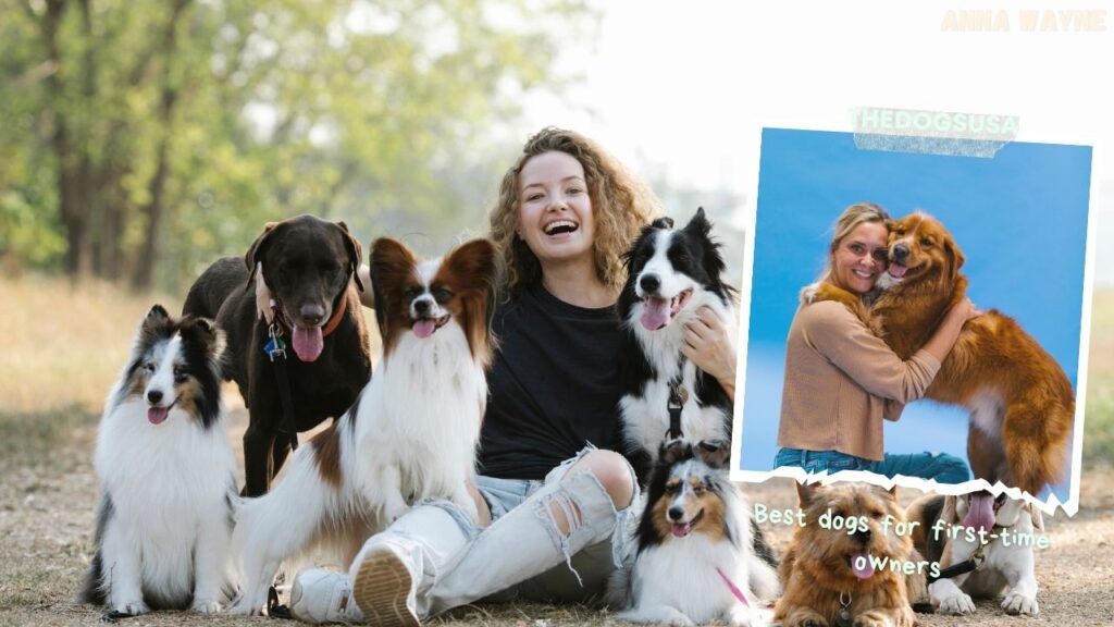 Best dogs for first-time owners