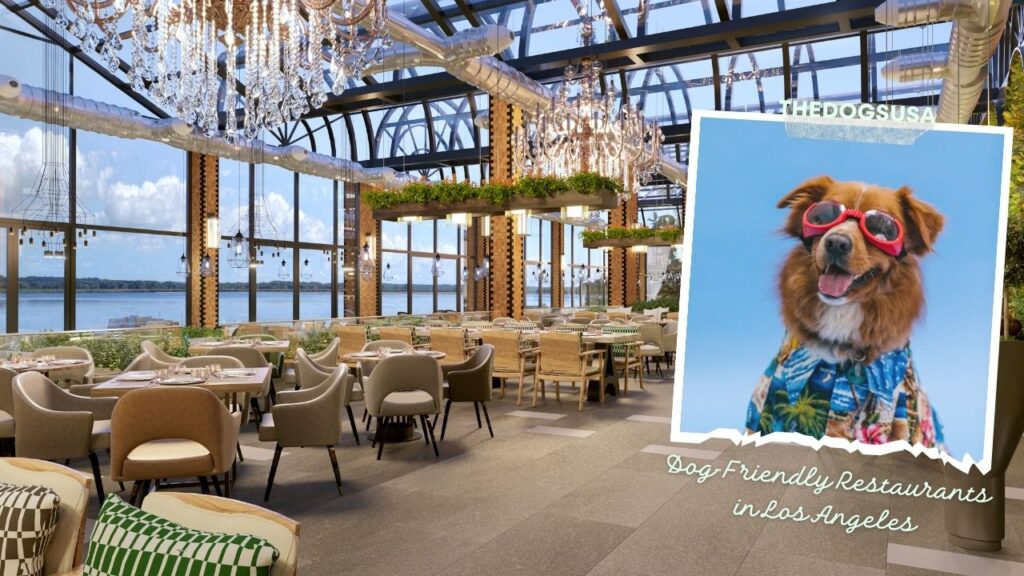 Dog-Friendly Restaurants in Los Angeles