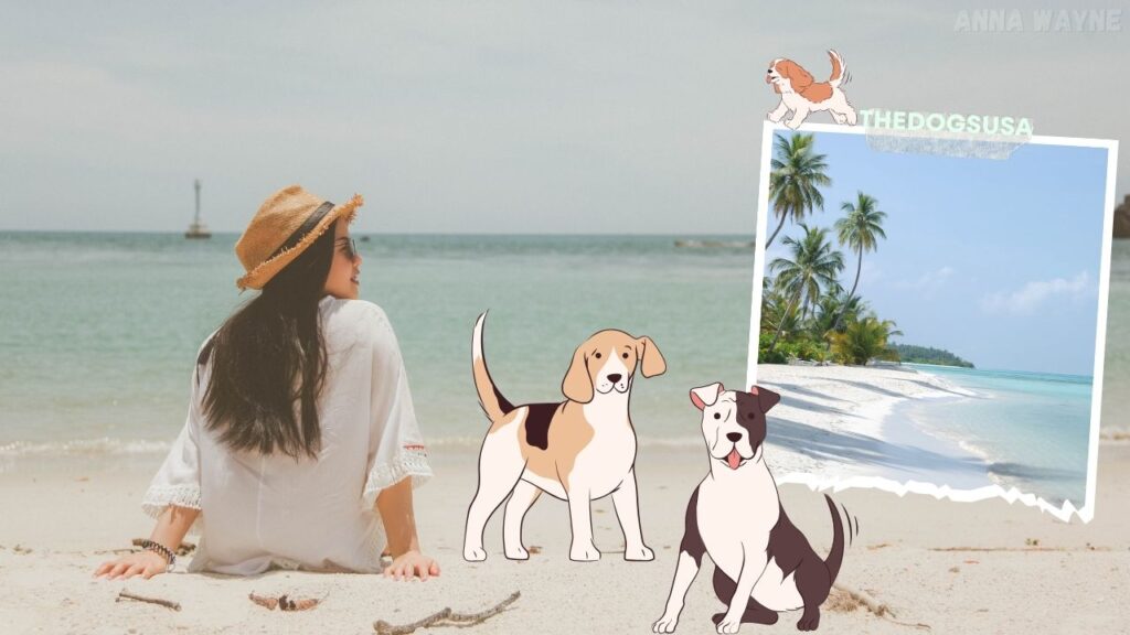 San Diego Dog Beaches