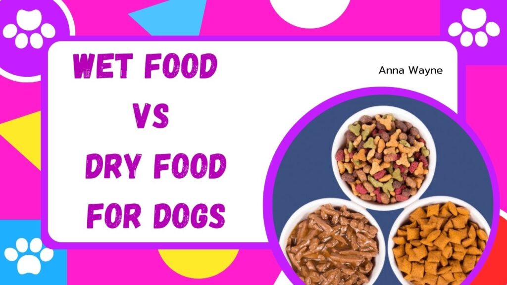 Wet Food vs Dry Food for Dogs