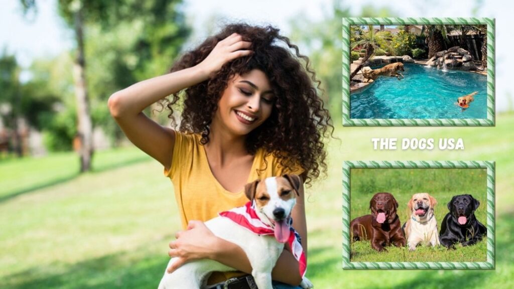 best dog parks in florida