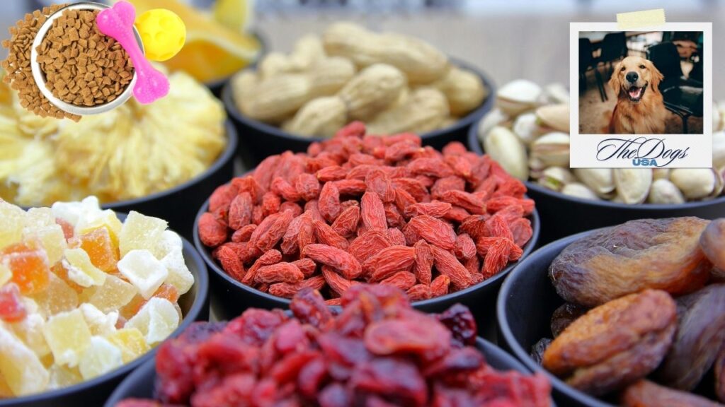 Best Freeze-Dried Raw Dog Food