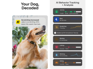 Fi Smart Dog Collar Series 3