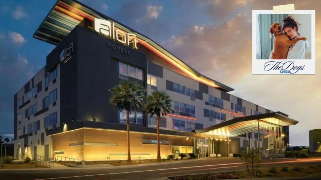 pet-friendly hotels in las vegas off the strip