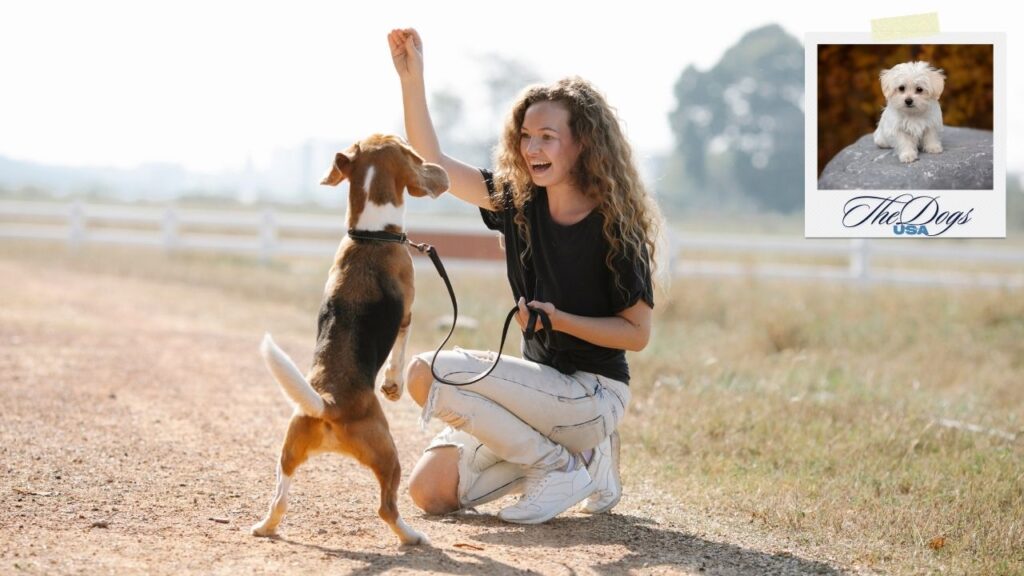 adopting a dog for free