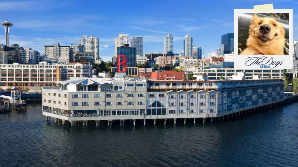 dog-friendly hotels in Seattle