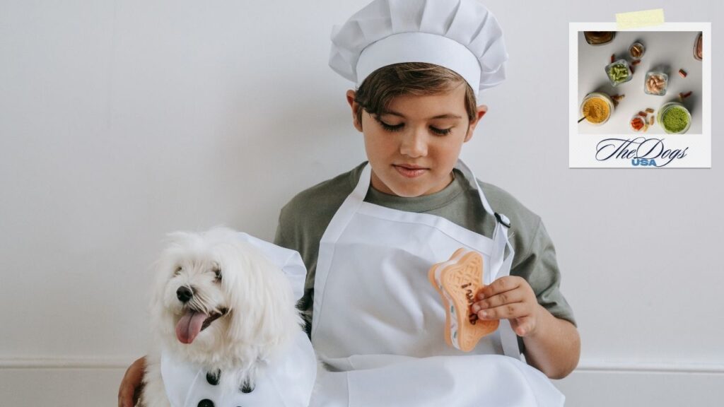 Homemade Dog Food Supplements