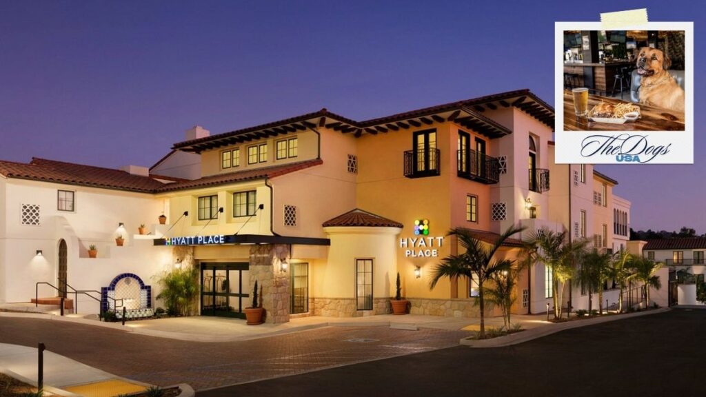 Best Dog-Friendly Hotels in Santa Barbara