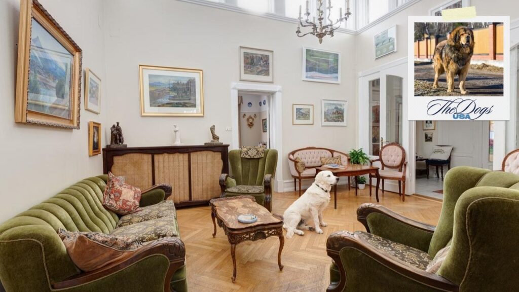 Dog-Friendly Hotels Near Yosemite