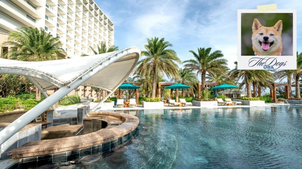 dog friendly hotels in new york