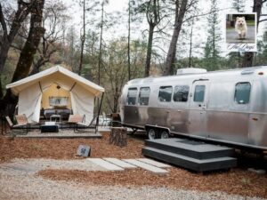 Dog friendly hotels near Yosemite