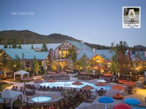 Dog friendly hotels near Yosemite