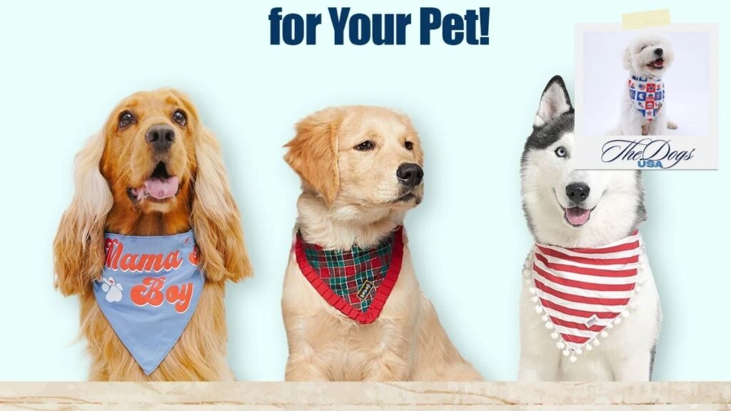 Stylish Dog Bandanas