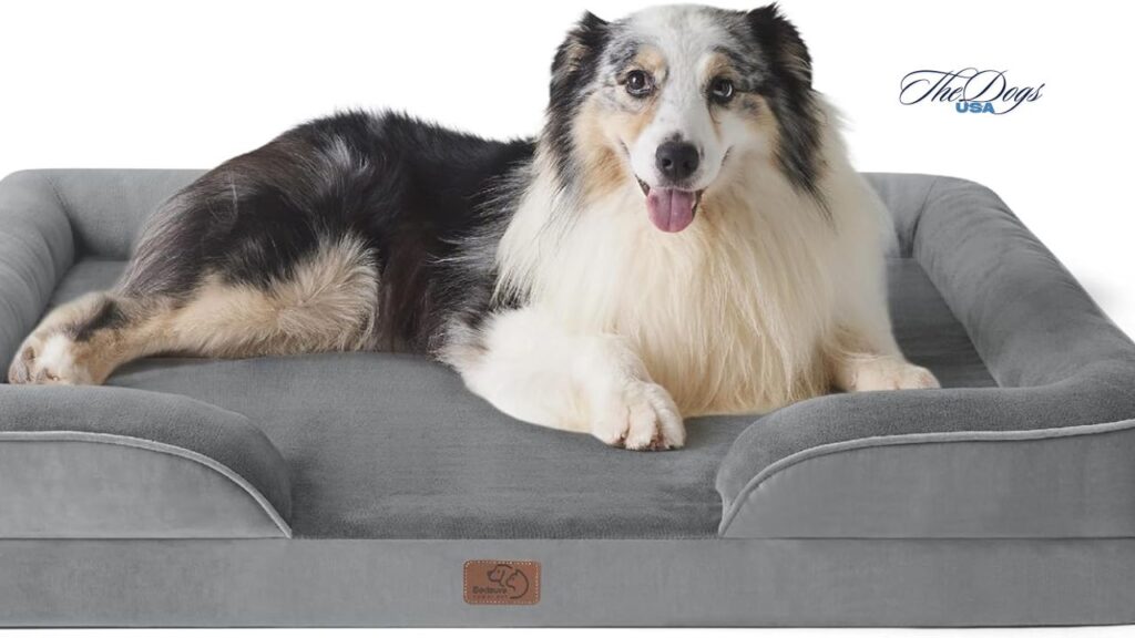 Best Dog Beds for Puppies