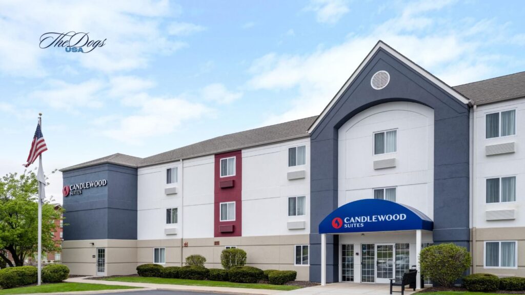 Best Dog-Friendly Hotels in Idaho Falls