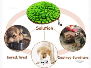 (Interactive Feeding Mat)