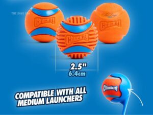 Chuckit! Ultra Ball (High-Bounce Fetch Ball)